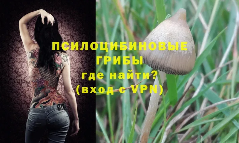 МЕГА ONION  Орлов  Псилоцибиновые грибы MAGIC MUSHROOMS 